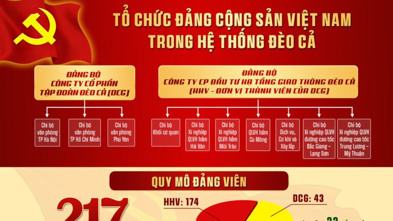 Tổ chức Đảng Cộng sản Việt Nam trong hệ thống Đèo Cả